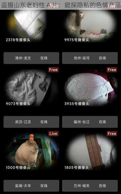 盗摄山东老妇性 A 片：窥探隐私的色情产品