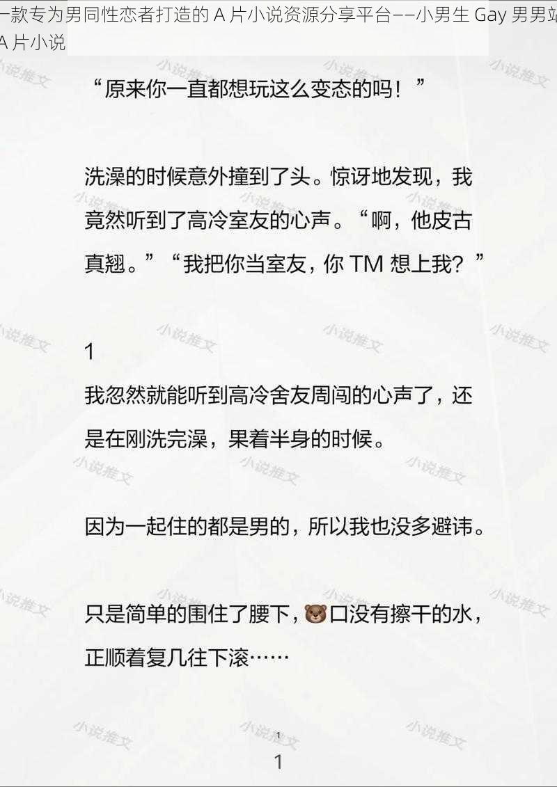 一款专为男同性恋者打造的 A 片小说资源分享平台——小男生 Gay 男男站 A 片小说