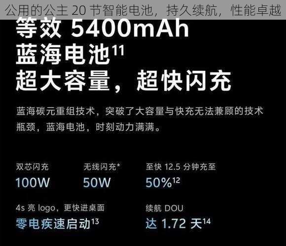 公用的公主 20 节智能电池，持久续航，性能卓越