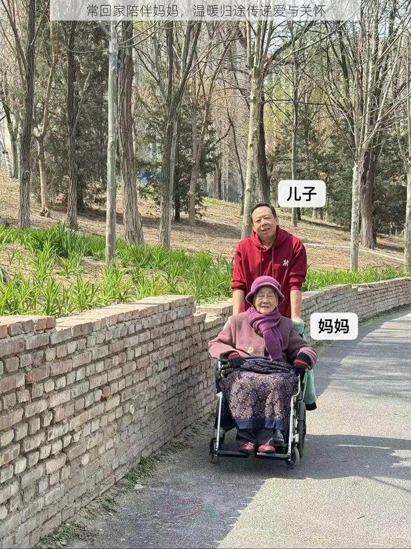 常回家陪伴妈妈，温暖归途传递爱与关怀