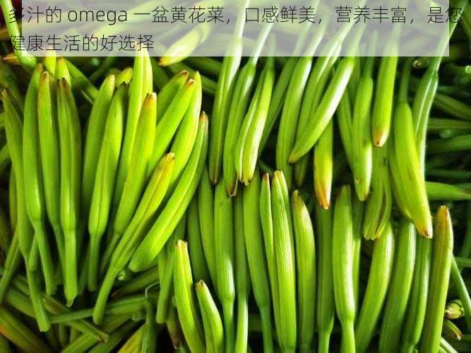 多汁的 omega 一盆黄花菜，口感鲜美，营养丰富，是您健康生活的好选择