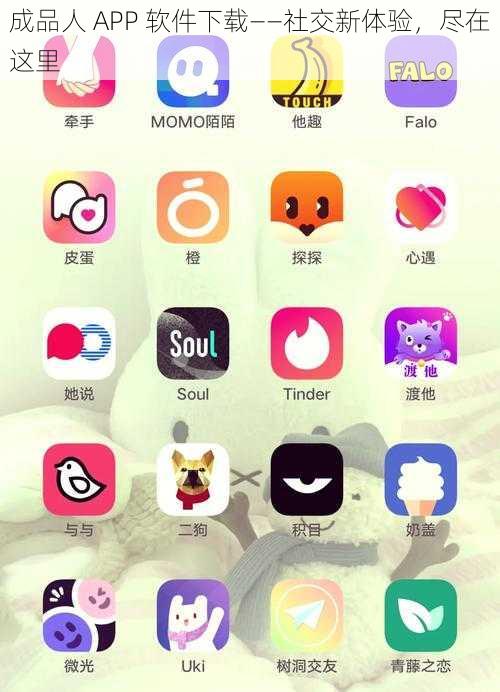 成品人 APP 软件下载——社交新体验，尽在这里