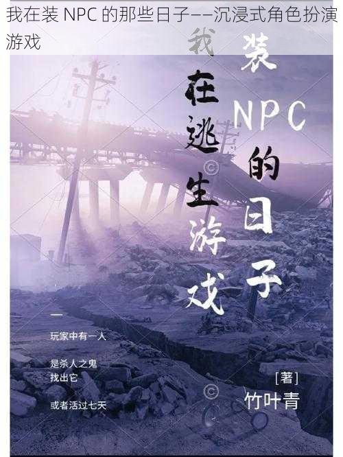 我在装 NPC 的那些日子——沉浸式角色扮演游戏