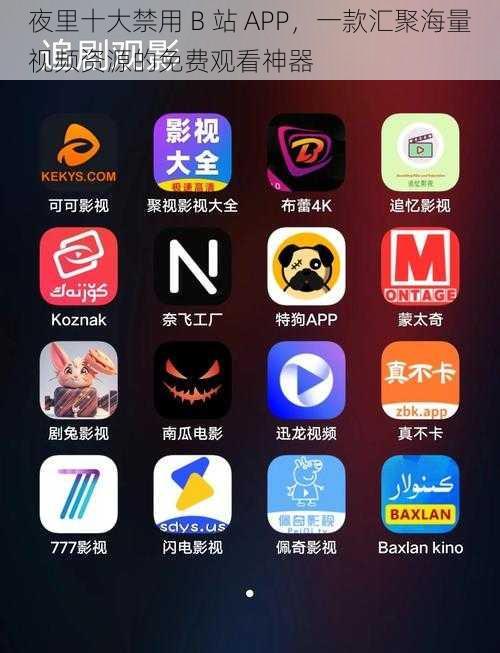 夜里十大禁用 B 站 APP，一款汇聚海量视频资源的免费观看神器