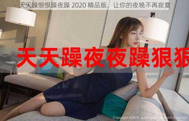 天天躁恨恨躁夜躁 2020 精品版，让你的夜晚不再寂寞