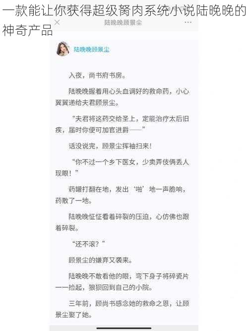 一款能让你获得超级胬肉系统小说陆晚晚的神奇产品