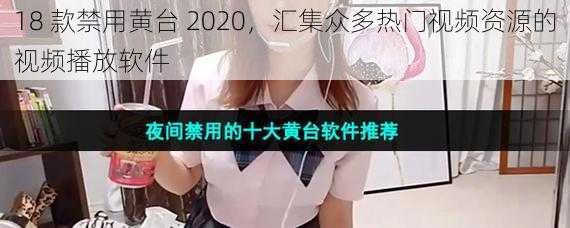 18 款禁用黄台 2020，汇集众多热门视频资源的视频播放软件