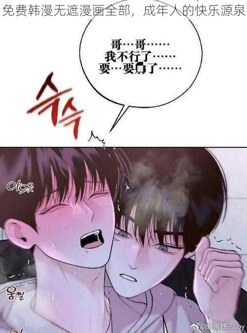 免费韩漫无遮漫画全部，成年人的快乐源泉