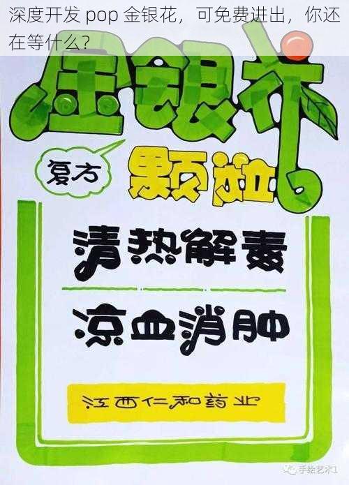 深度开发 pop 金银花，可免费进出，你还在等什么？