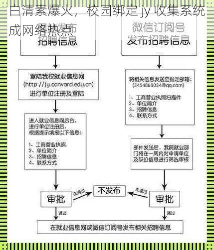 白清素爆火，校园绑定 jy 收集系统成网络热点