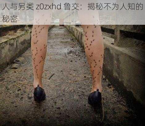 人与另类 z0zxhd 鲁交：揭秘不为人知的秘密