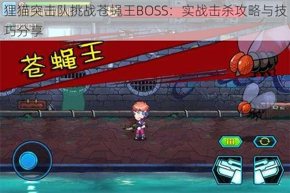 狸猫突击队挑战苍蝇王BOSS：实战击杀攻略与技巧分享