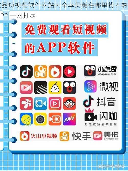 成品短视频软件网站大全苹果版在哪里找？热门 APP 一网打尽