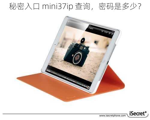 秘密入口 mini37ip 查询，密码是多少？