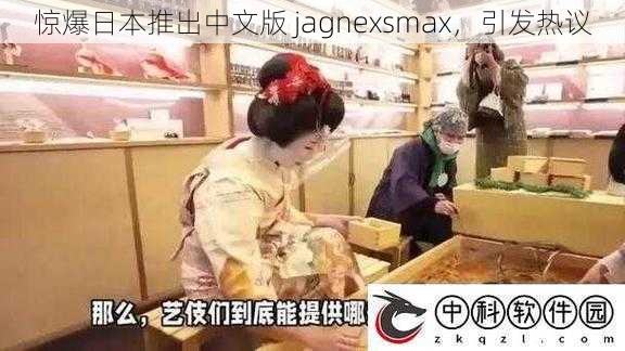 惊爆日本推出中文版 jagnexsmax，引发热议