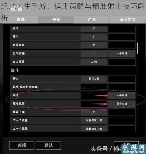 绝地求生手游：运用策略与精准射击技巧解析