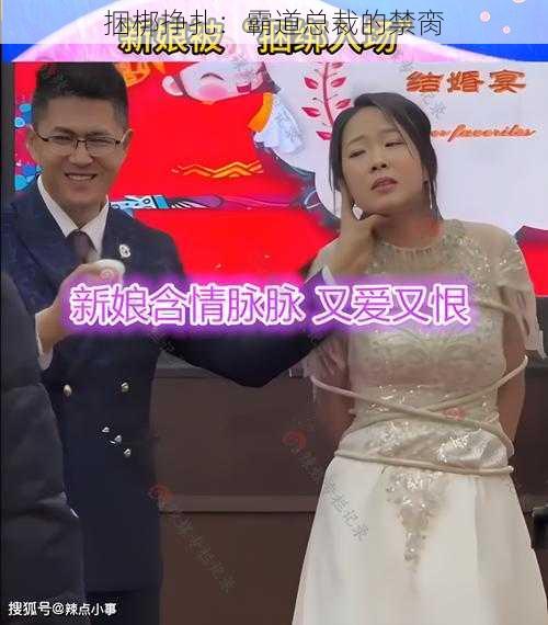 捆梆挣扎：霸道总裁的禁脔