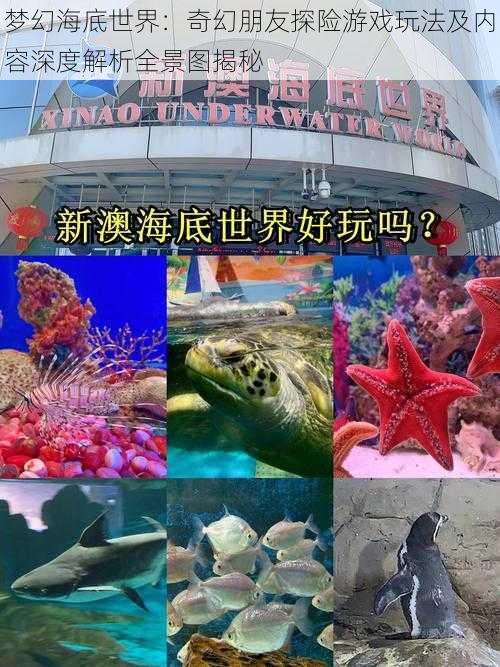 梦幻海底世界：奇幻朋友探险游戏玩法及内容深度解析全景图揭秘