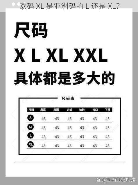 欧码 XL 是亚洲码的 L 还是 XL？