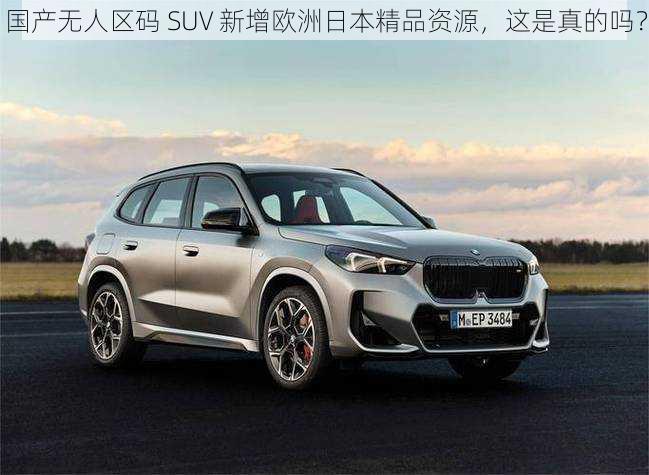 国产无人区码 SUV 新增欧洲日本精品资源，这是真的吗？