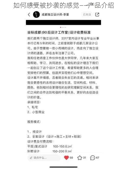 如何感受被抄袭的感觉——产品介绍