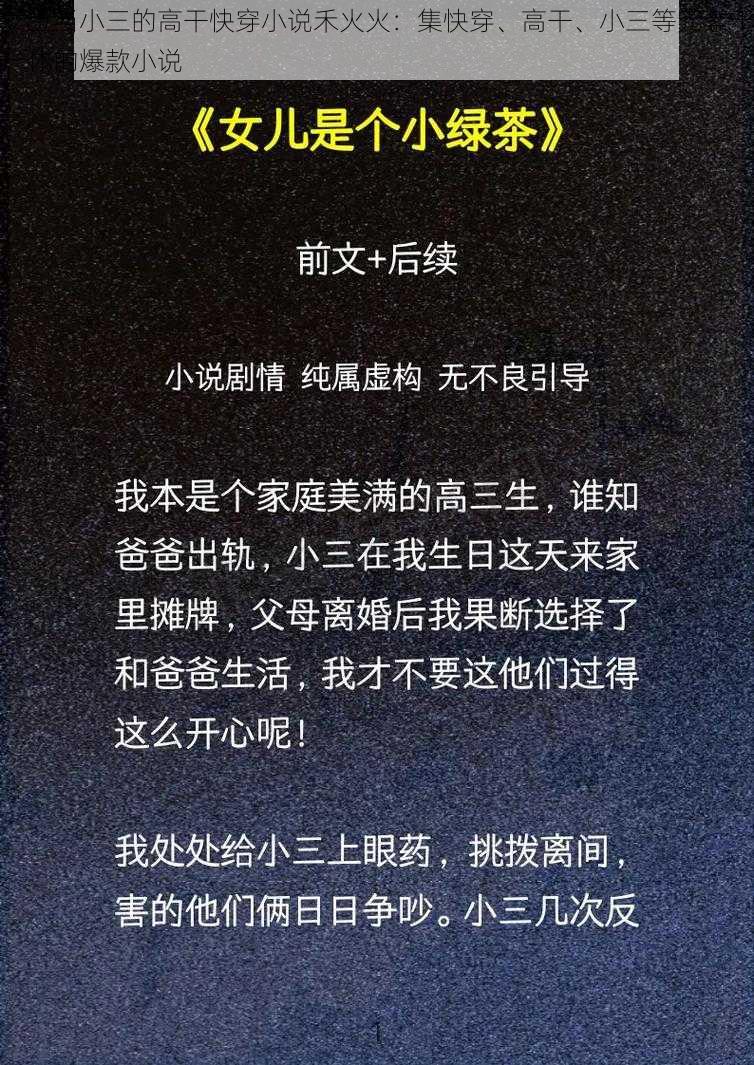 女主当小三的高干快穿小说禾火火：集快穿、高干、小三等元素于一体的爆款小说