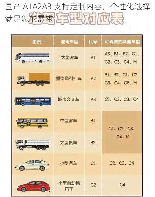 国产 A1A2A3 支持定制内容，个性化选择满足您的需求