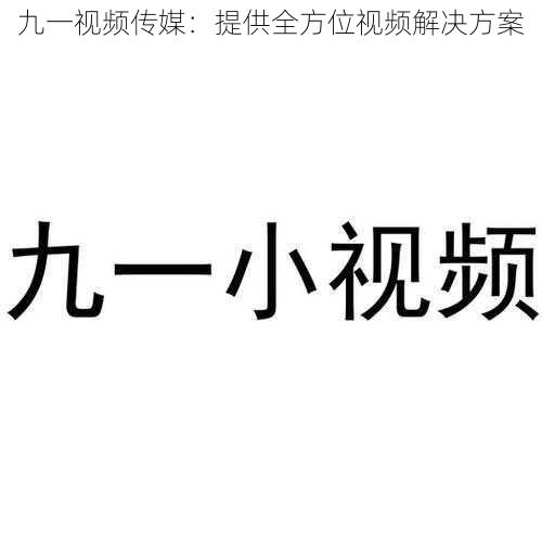 九一视频传媒：提供全方位视频解决方案