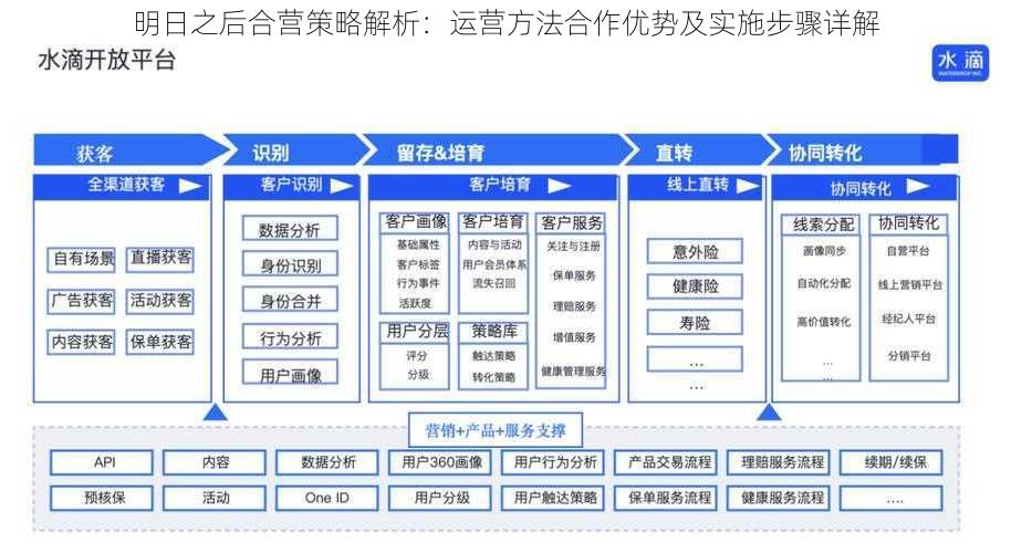 明日之后合营策略解析：运营方法合作优势及实施步骤详解