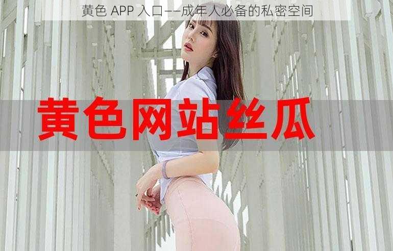 黄色 APP 入口——成年人必备的私密空间