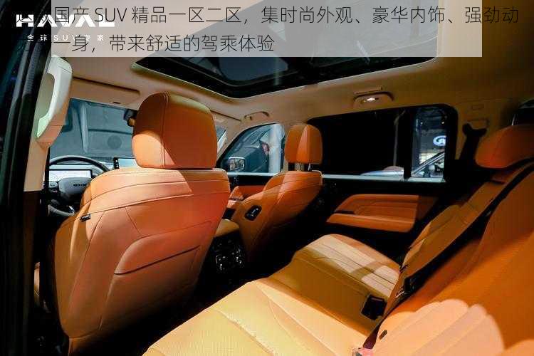 这款国产 SUV 精品一区二区，集时尚外观、豪华内饰、强劲动力于一身，带来舒适的驾乘体验