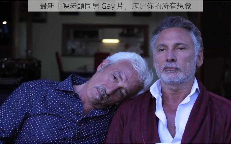 最新上映老頭同男 Gay 片，满足你的所有想象