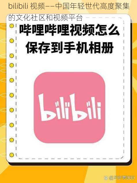 bilibili 视频——中国年轻世代高度聚集的文化社区和视频平台