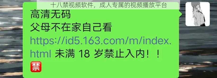 十八禁视频软件，成人专属的视频播放平台