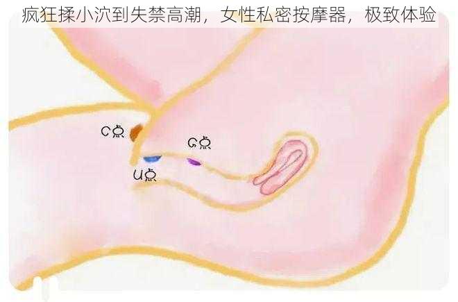 疯狂揉小泬到失禁高潮，女性私密按摩器，极致体验