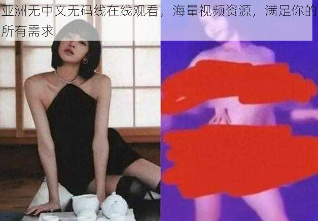 亚洲无中文无码线在线观看，海量视频资源，满足你的所有需求