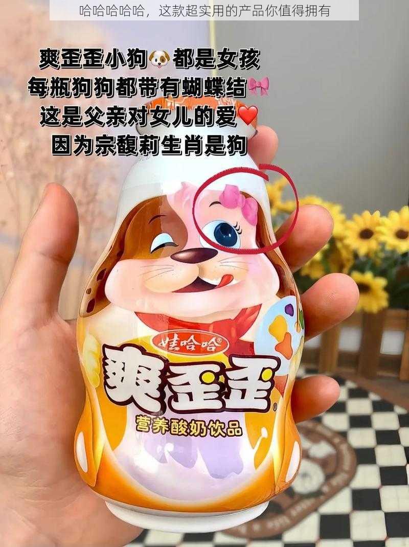 哈哈哈哈哈，这款超实用的产品你值得拥有