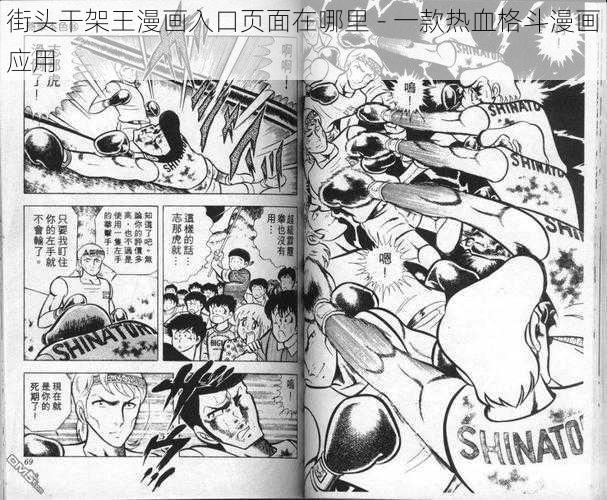 街头干架王漫画入口页面在哪里 - 一款热血格斗漫画应用