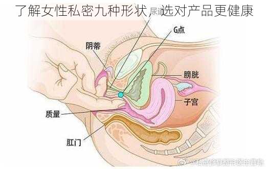 了解女性私密九种形状，选对产品更健康