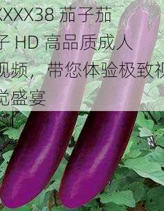 XXXX38 茄子茄子 HD 高品质成人视频，带您体验极致视觉盛宴