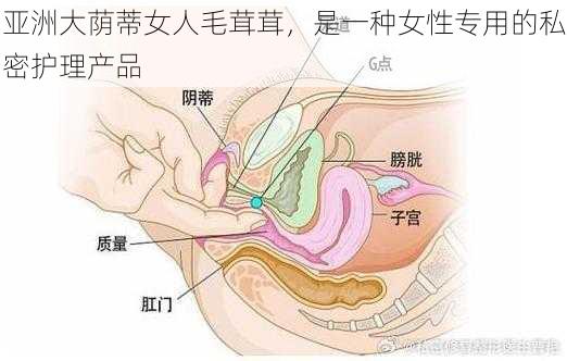 亚洲大荫蒂女人毛茸茸，是一种女性专用的私密护理产品