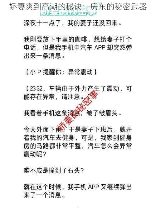 娇妻爽到高潮的秘诀：房东的秘密武器