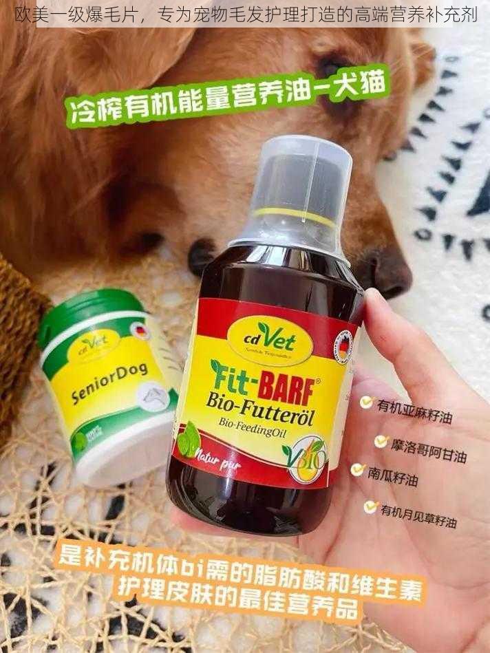 欧美一级爆毛片，专为宠物毛发护理打造的高端营养补充剂