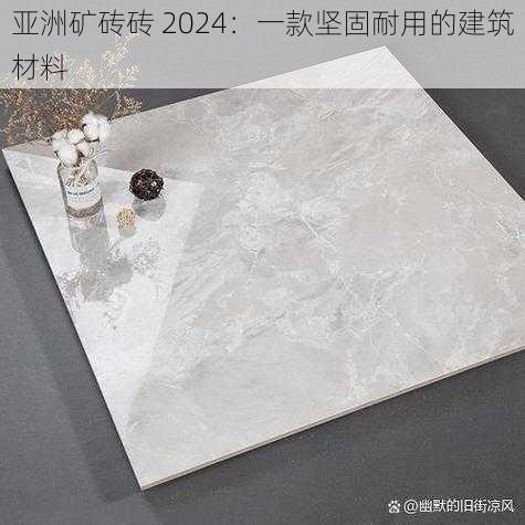 亚洲矿砖砖 2024：一款坚固耐用的建筑材料