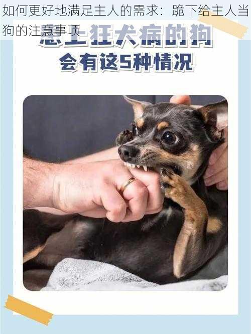 如何更好地满足主人的需求：跪下给主人当狗的注意事项