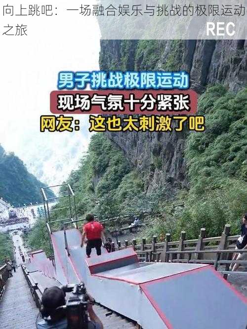 向上跳吧：一场融合娱乐与挑战的极限运动之旅