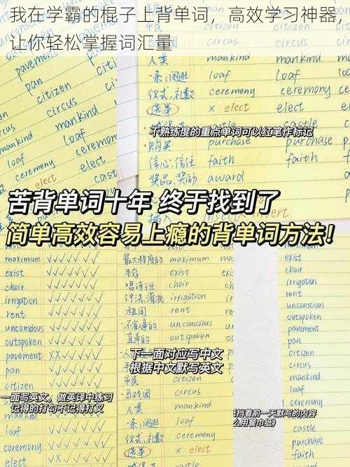 我在学霸的棍子上背单词，高效学习神器，让你轻松掌握词汇量