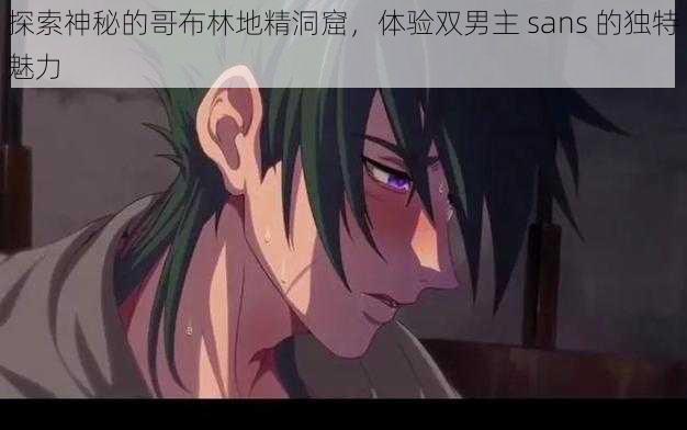 探索神秘的哥布林地精洞窟，体验双男主 sans 的独特魅力