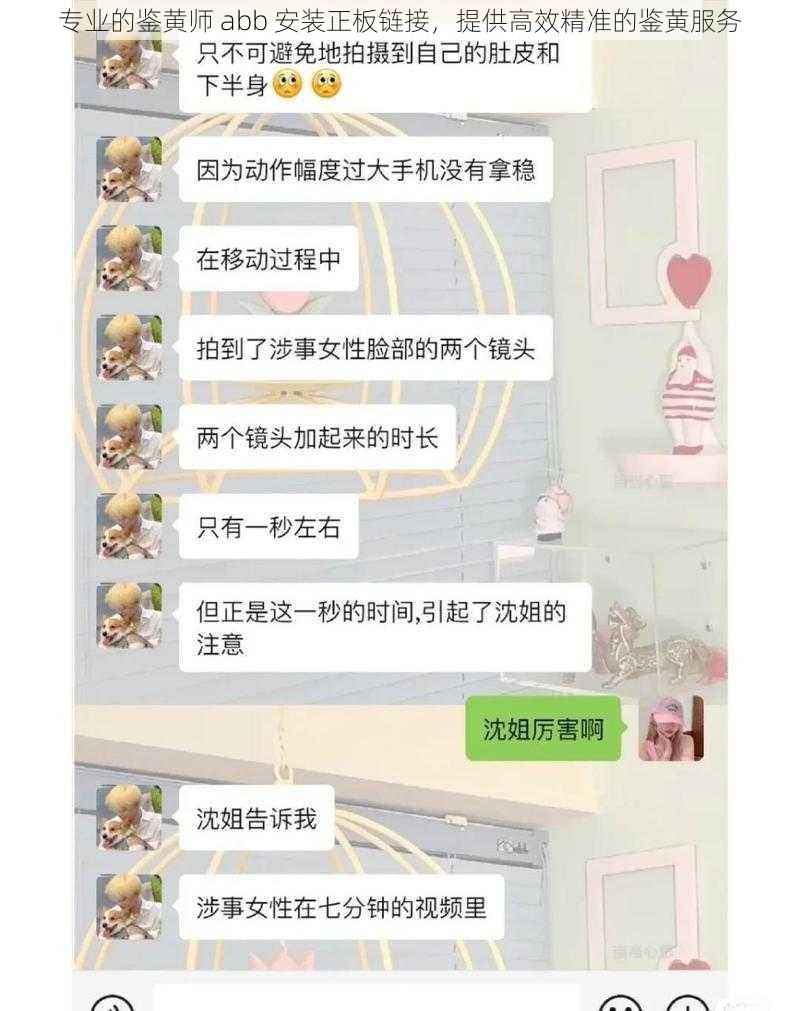 专业的鉴黄师 abb 安装正板链接，提供高效精准的鉴黄服务