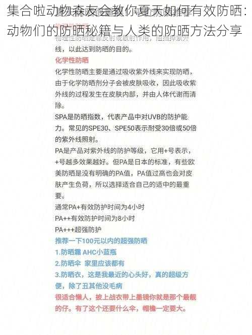 集合啦动物森友会教你夏天如何有效防晒：动物们的防晒秘籍与人类的防晒方法分享